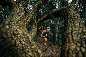 BIB: 
                            <button type="button" onclick="openModal(25668812)" class="btn btn-primary btn-sm float-right btn-popup" data-toggle="modal" data-target=".modal-high-quality">
                        <i class="fas fa-shopping-cart"></i> Add to Cart
                    </button>
                                            <button type="button" onclick="isThisMe(25668812, true)" class="btn btn-success btn-sm float-right btn-popup btn-isme hidden" data-toggle="tooltip" data-placement="bottom" title="นี่คือรูปของคุณใช่ไหม คลิกที่นี่เพื่อเอาเข้าอัลบั้ม">
                        <i class="fas fa-plus"></i> Add to album
                    </button>
                    <button type="button" onclick="isThisMe(25668812, false)" class="btn btn-warning btn-sm float-right btn-popup btn-isnotme hidden">
                        <i class="fas fa-ban"></i> Remove from album
                    </button>